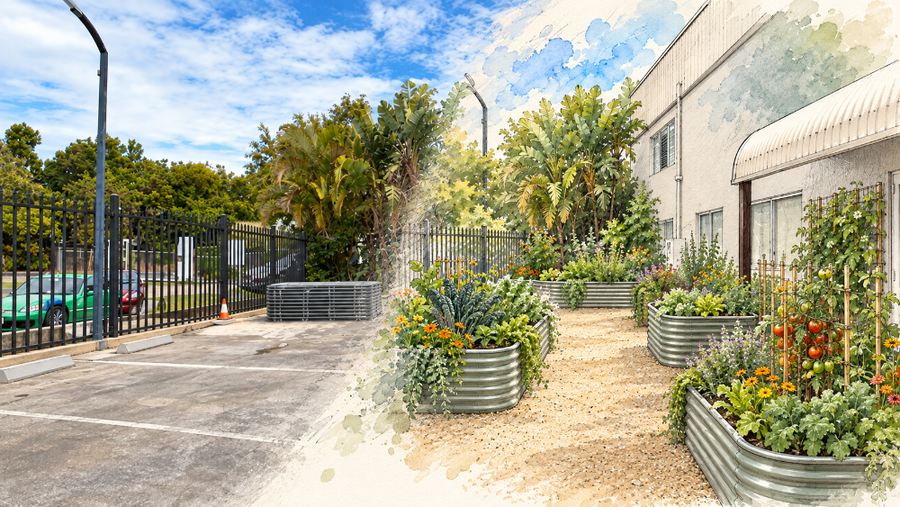 From Parking Lot to Raised Bed Vegetable Garden