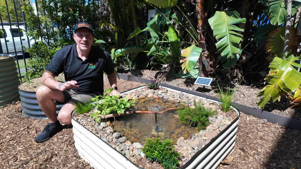 How to Build a Wildlife Pond in a Raised Bed | Birdies – Birdies Garden ...
