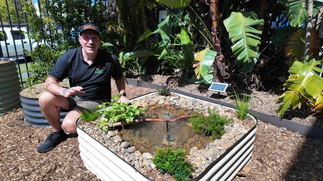 How to Build a Wildlife Pond in a Raised Garden Bed