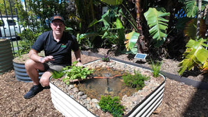 How to Build a Wildlife Pond in a Raised Garden Bed