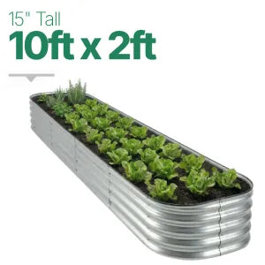 10ft × 2ft