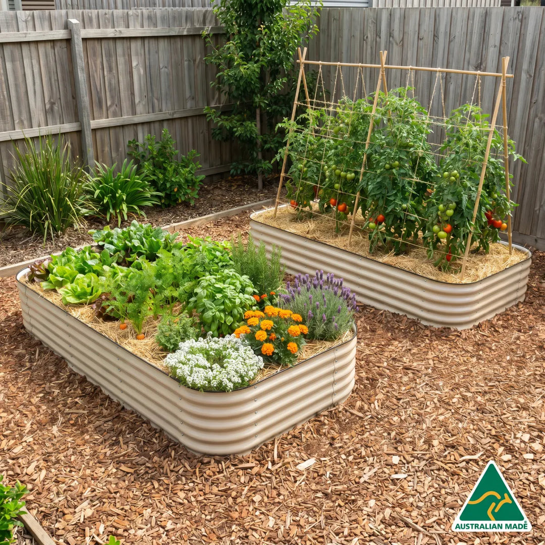 Starter Garden Setup – 2 Jumbo Beds