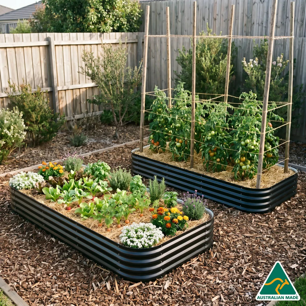 Starter Garden Setup – 2 Jumbo Beds – Birdies Garden Products - Global