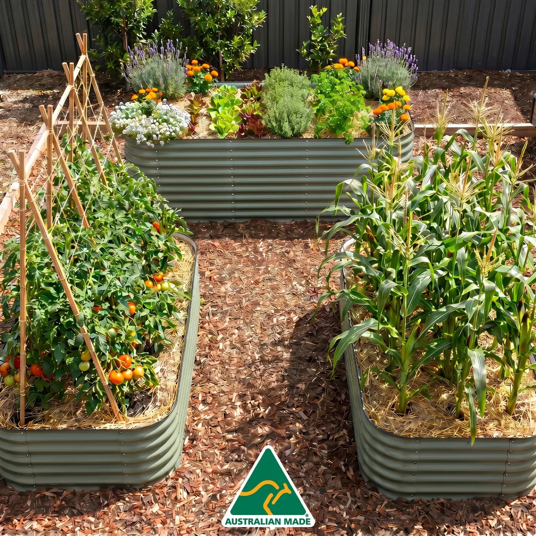 Small Family Garden Setup – 3 Jumbo Beds