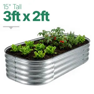 3ft × 2ft