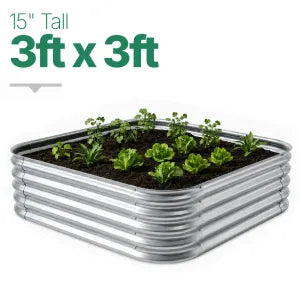 3ft × 3ft