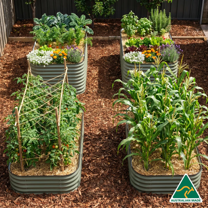 Family Garden Setup – 4 Jumbo Raised Garden Beds