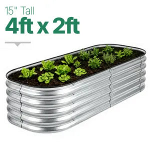 4ft × 2ft