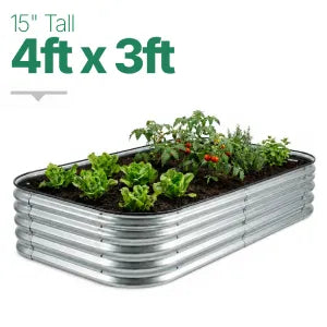 4ft × 3ft