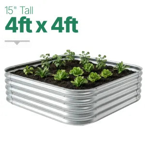 4ft × 4ft