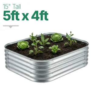 5ft × 4ft