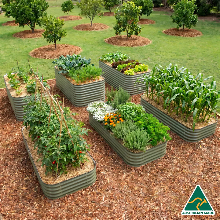 Family Self Sufficient Garden Setup – 6 Jumbo Beds