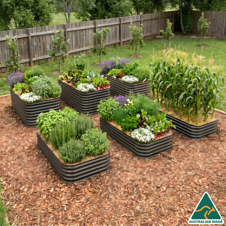 Family Self Sufficient Garden Setup – 6 Jumbo Beds