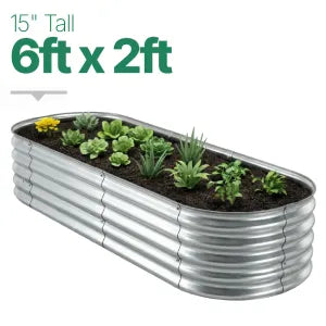 6ft × 2ft