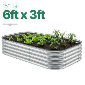 6ft × 3ft