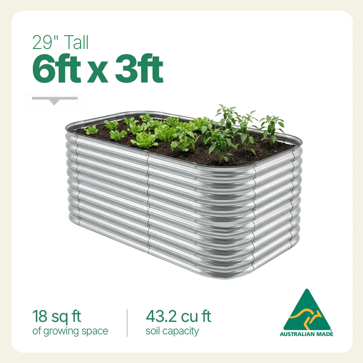 6ft x 3ft
