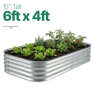 6ft × 4ft