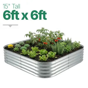 6ft × 6ft