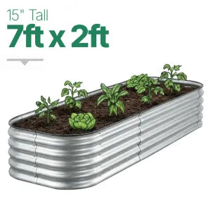 7ft × 2ft