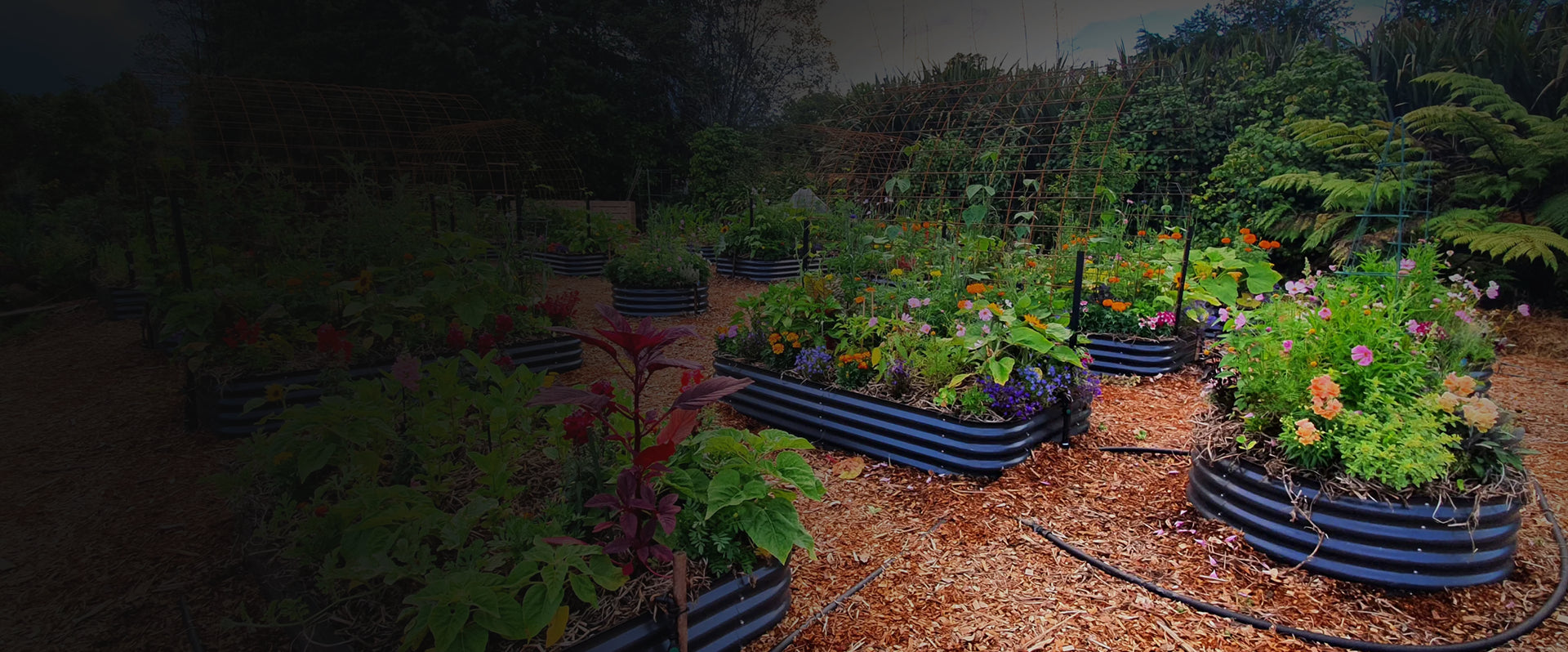 Garden with raised beds filled with plants and flowers, surrounded by trees and foliage.