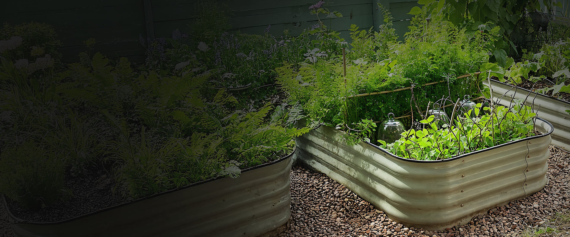 Raised garden beds with plants in a garden setting