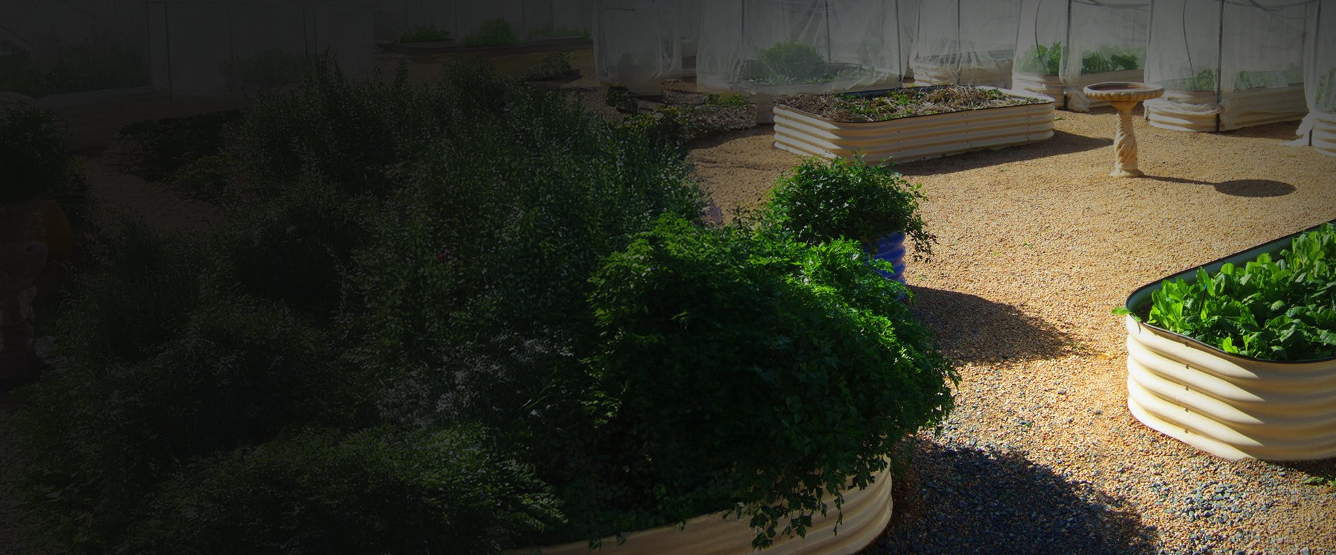 Garden area with potted plants and raised garden beds in a greenhouse setting.