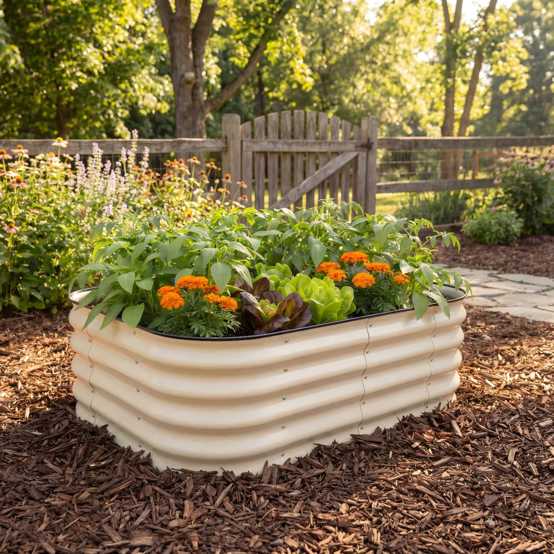 Decorative garden bed with plants and flowers in a garden setting
