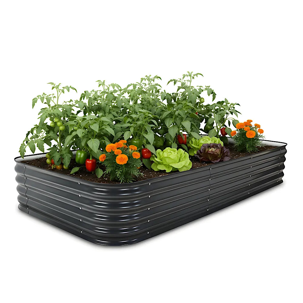 Raised garden bed with plants and flowers on a white background