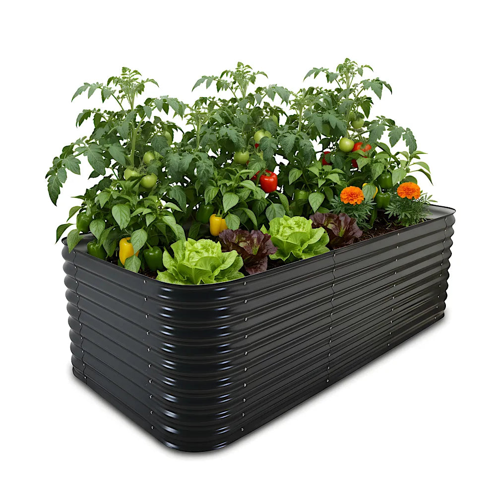 Black metal raised garden bed with plants on a white background