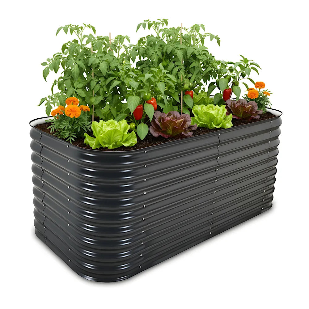 Black metal raised garden bed with plants and flowers on a white background