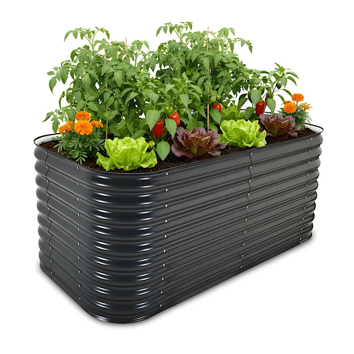 Black metal raised garden bed with plants and flowers on a white background