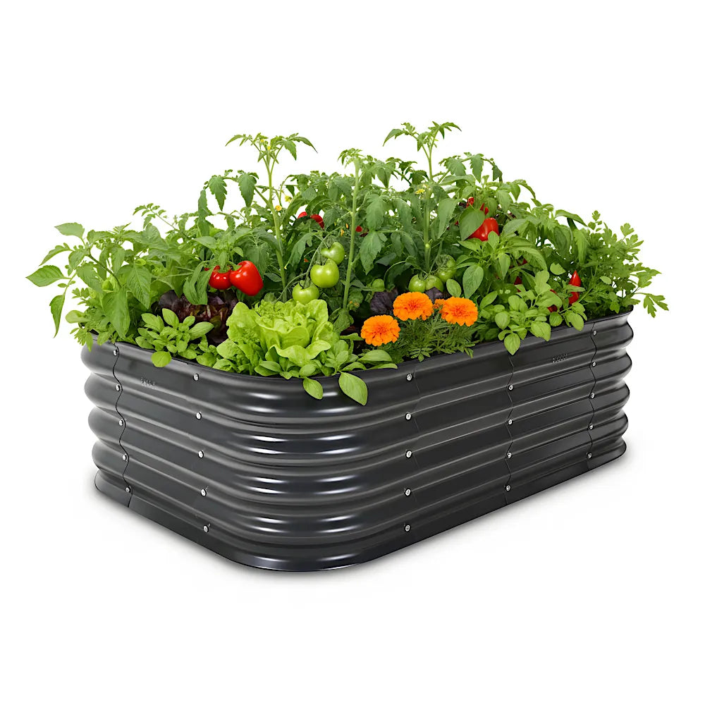 Black raised garden bed with plants and flowers on a white background