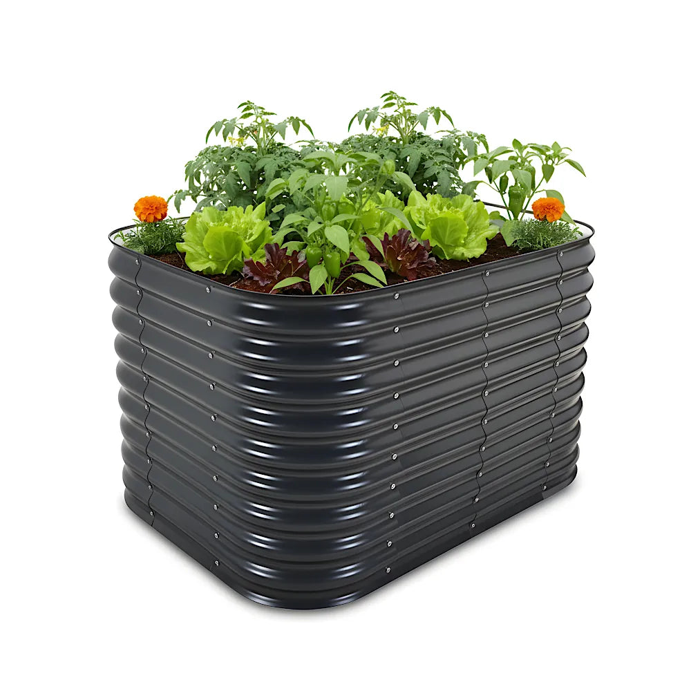 Black raised garden bed with plants on a white background