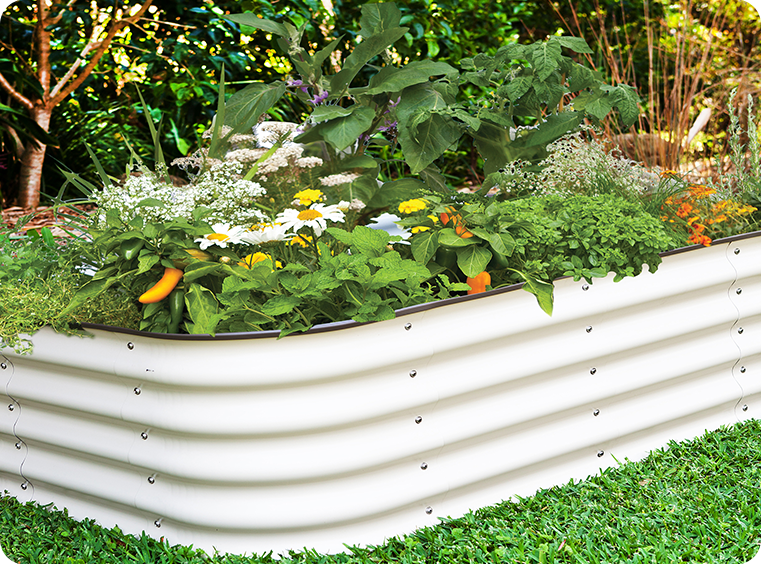 White metal raised garden bed with plants and flowers in a garden setting