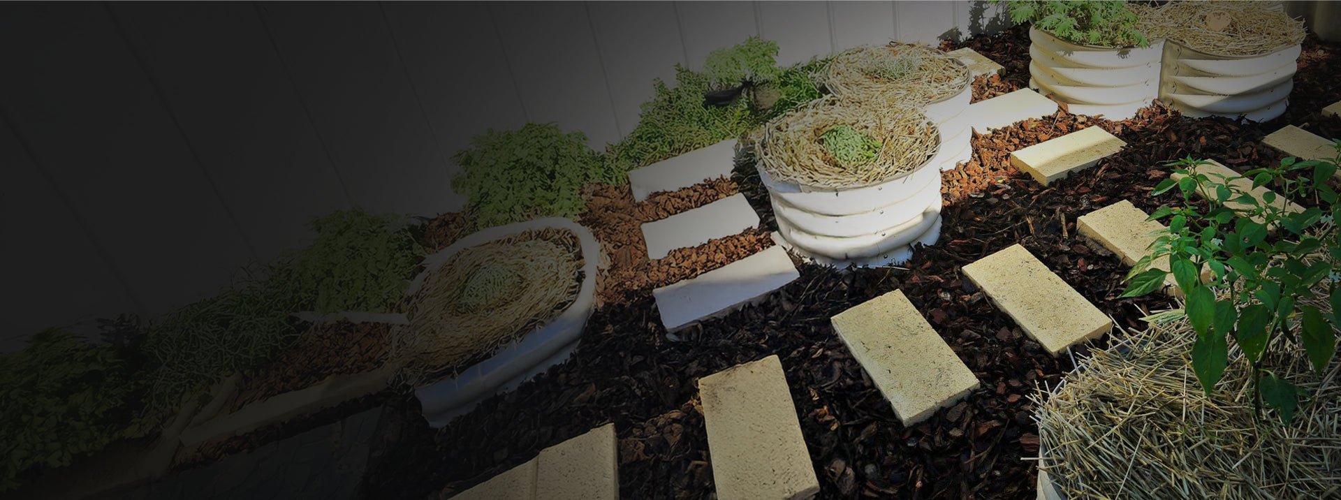 Model of a garden with plants and pathways on a dark background