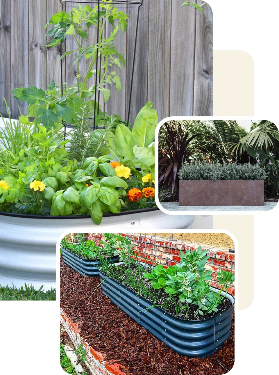 Collage of garden beds with plants and a small inset of a garden scene.