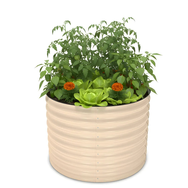 Beige woven planter with green plants and orange flowers on a white background