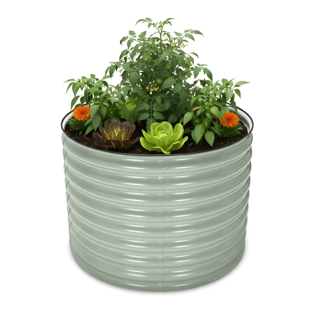 Decorative planter with green plants and flowers on a white background