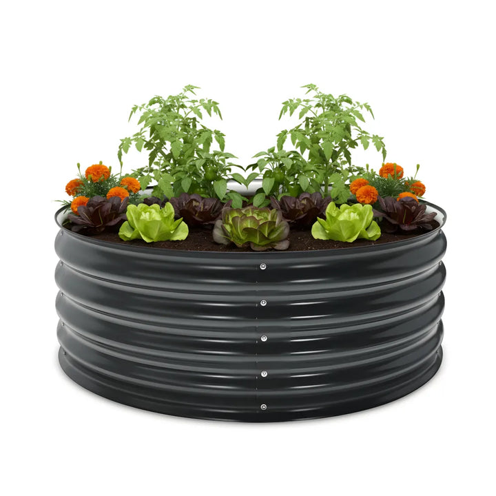 Black metal raised garden bed with plants on a white background