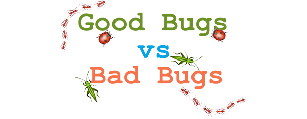good bugs vs bad bugs