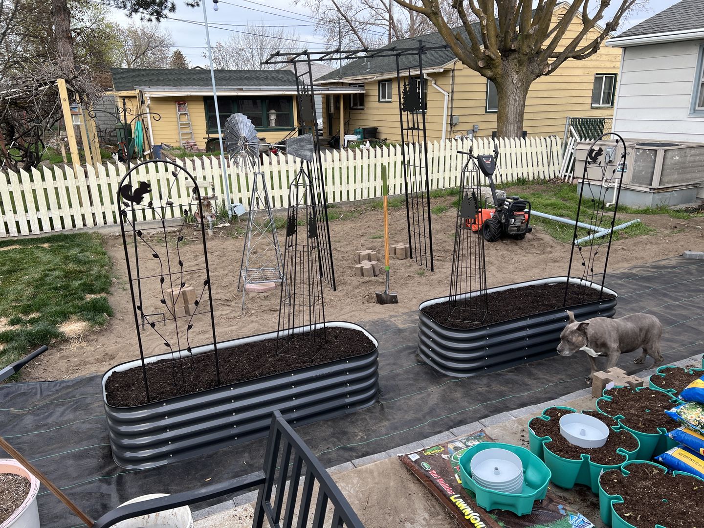 Stainless Steel Raised Bed Gopher Mesh – Epic Gardening