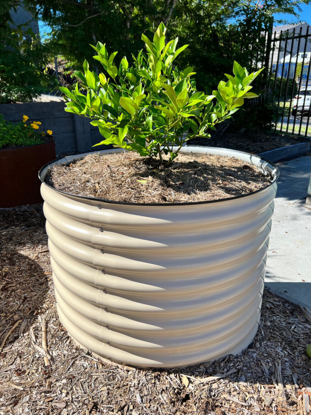 Raised Garden Planning Birdies Garden Products USA